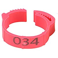 100 anillos de sujeción Poultry para las piernas- ajustables- anillo para el pie de gallina- anillo de identificación de…